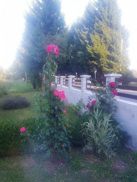 Guesthouse Samolov Vrhovine Екстериор снимка